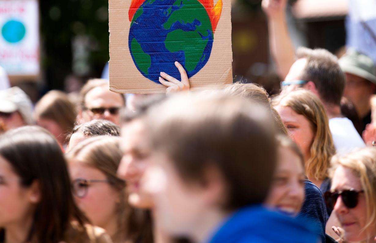 photo-karnikrigel_result